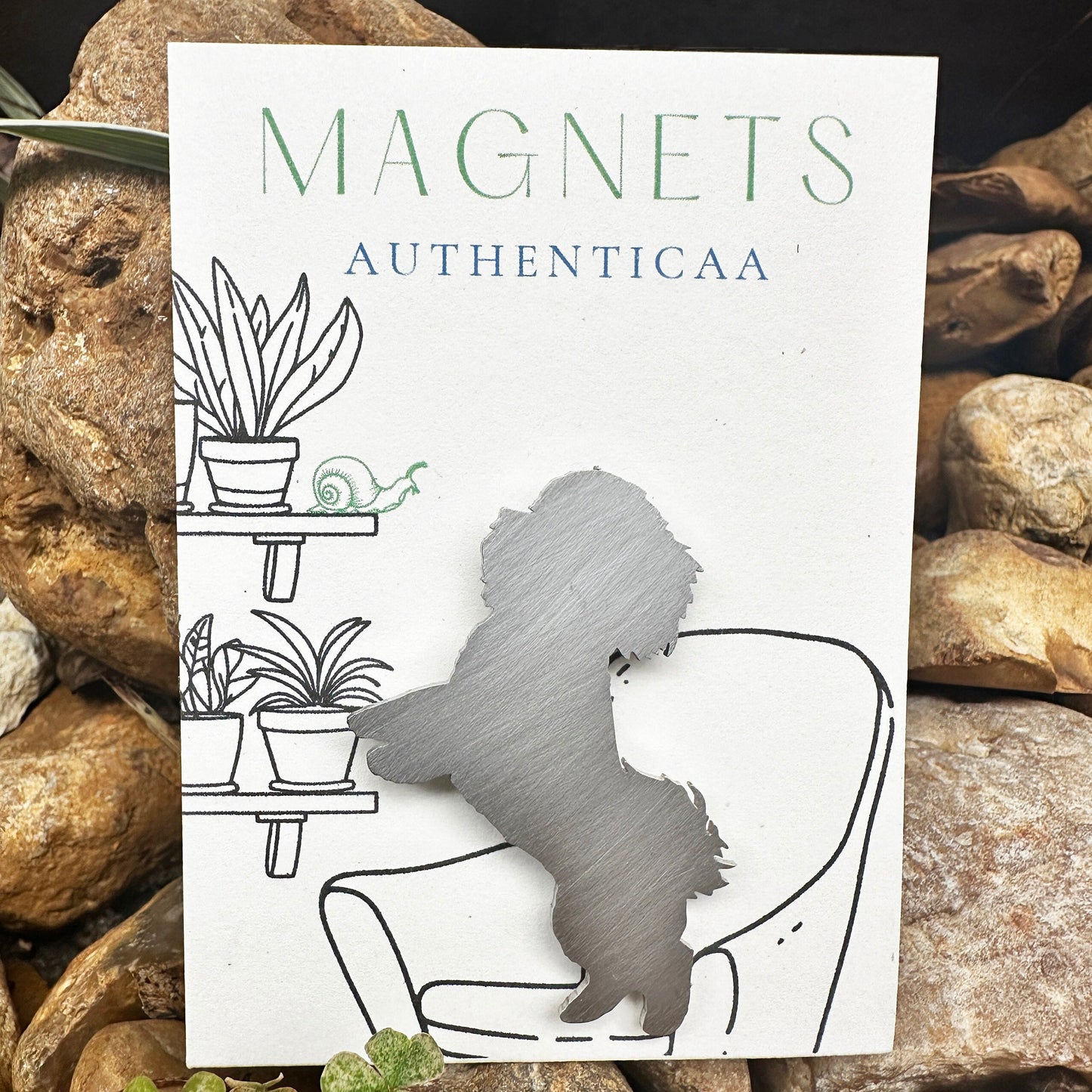 Shitzu magnet made of stainless steel placed on an illustrated card