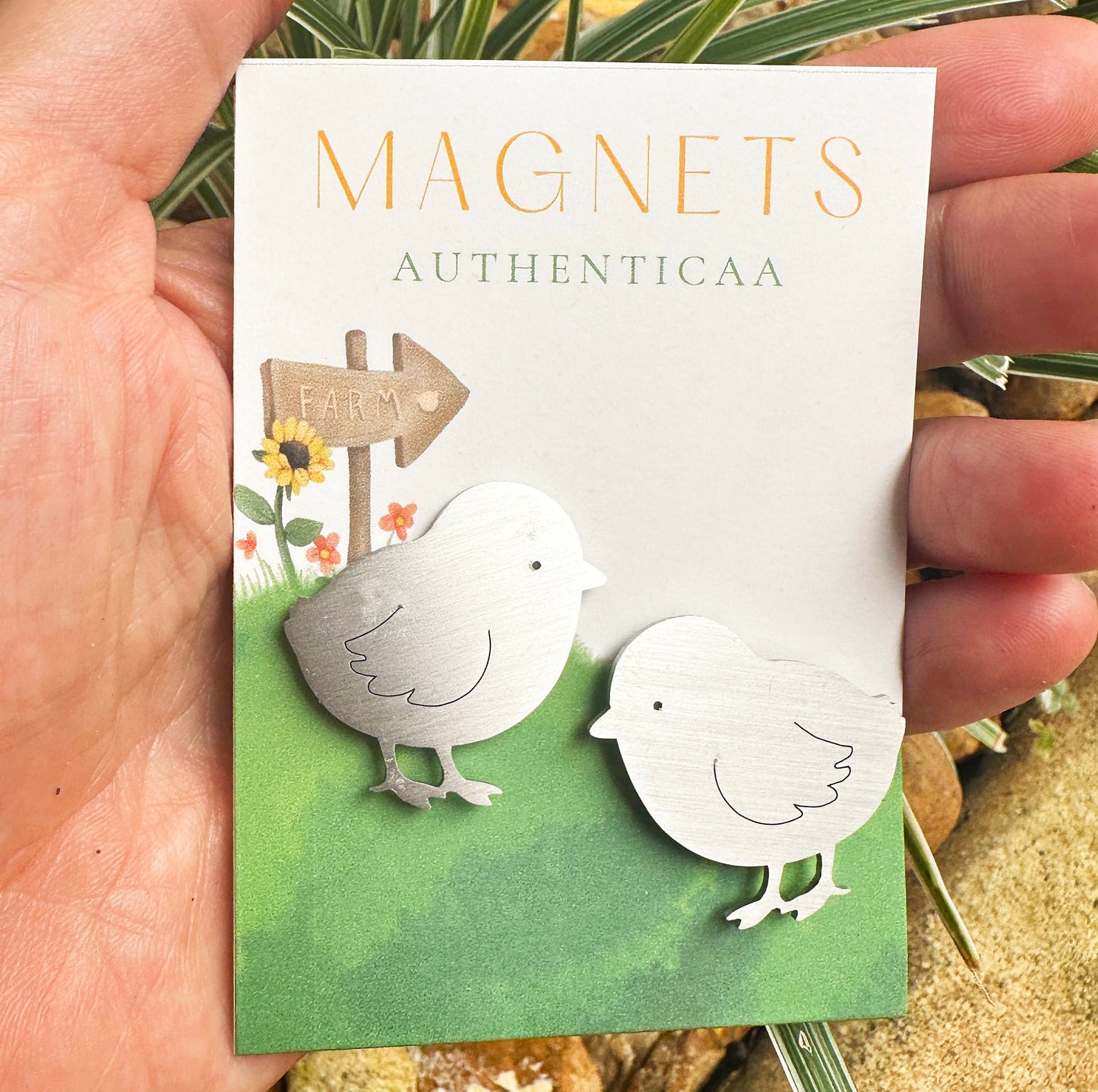 2 chick magnets made of stainless steel placed on an illustrated card in hand