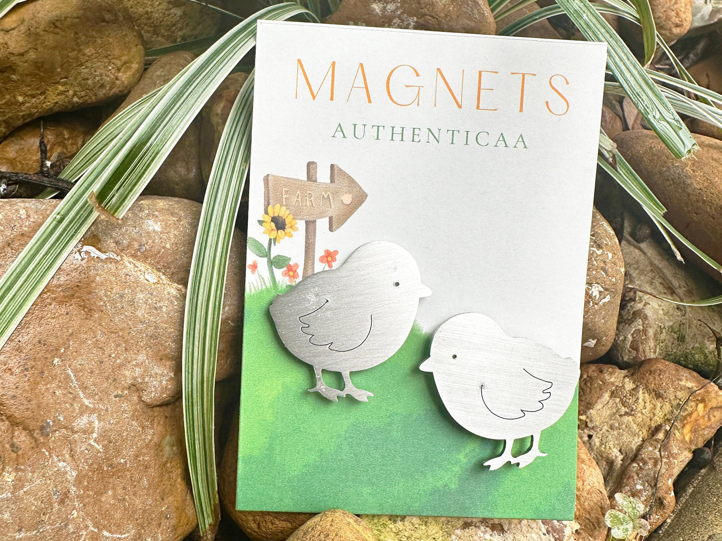 2 chick magnets made of stainless steel placed on an illustrated card