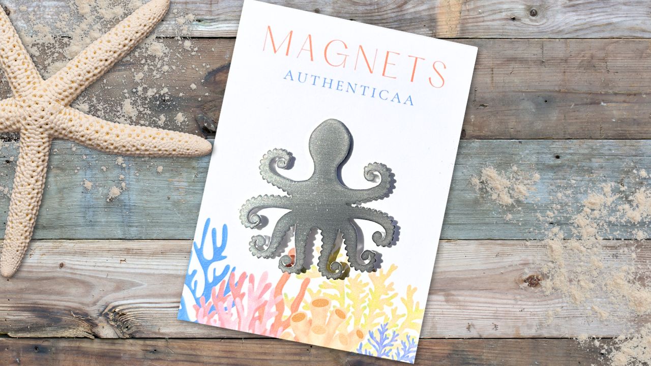 MAGNETS