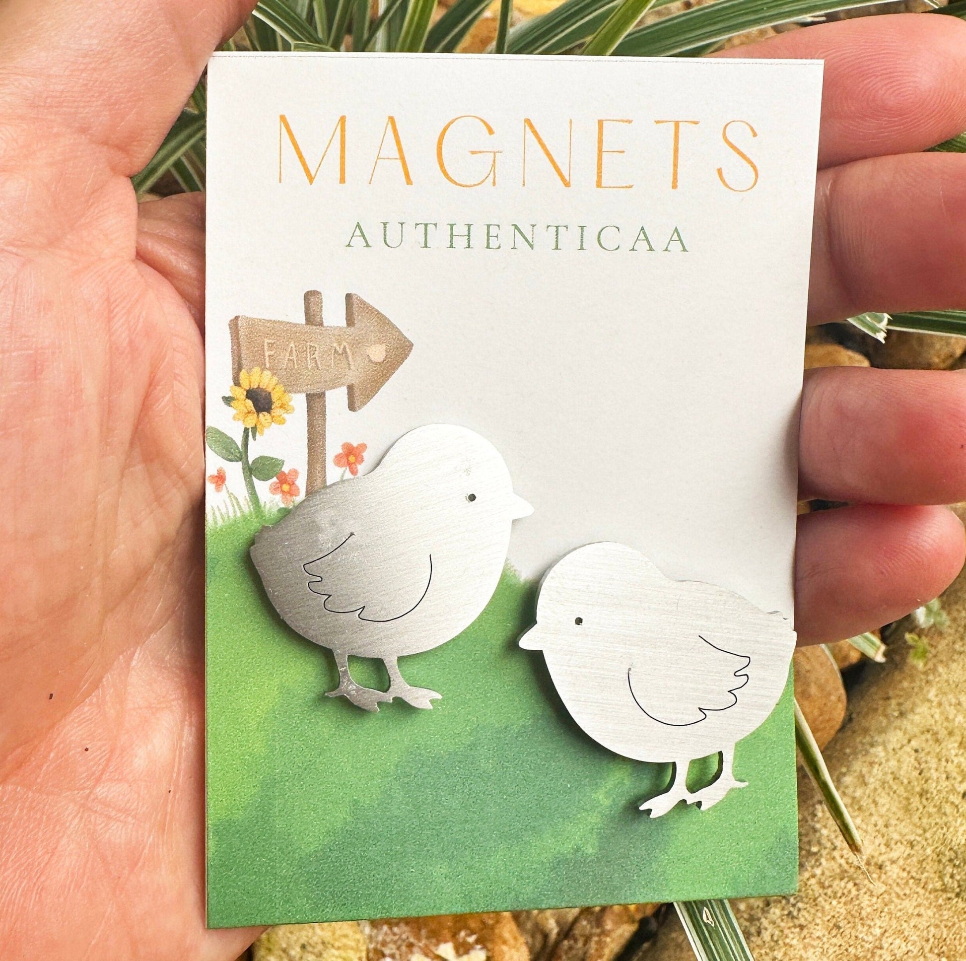 Chicks Magnet - Farm Decor - Authenticaa