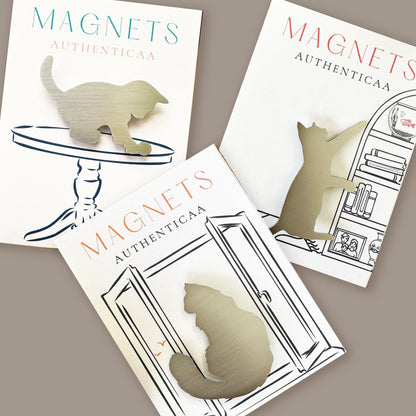 Fluffy Cat Magnet - Stainless steel - Illustrated Card - Made in USA - Authenticaa