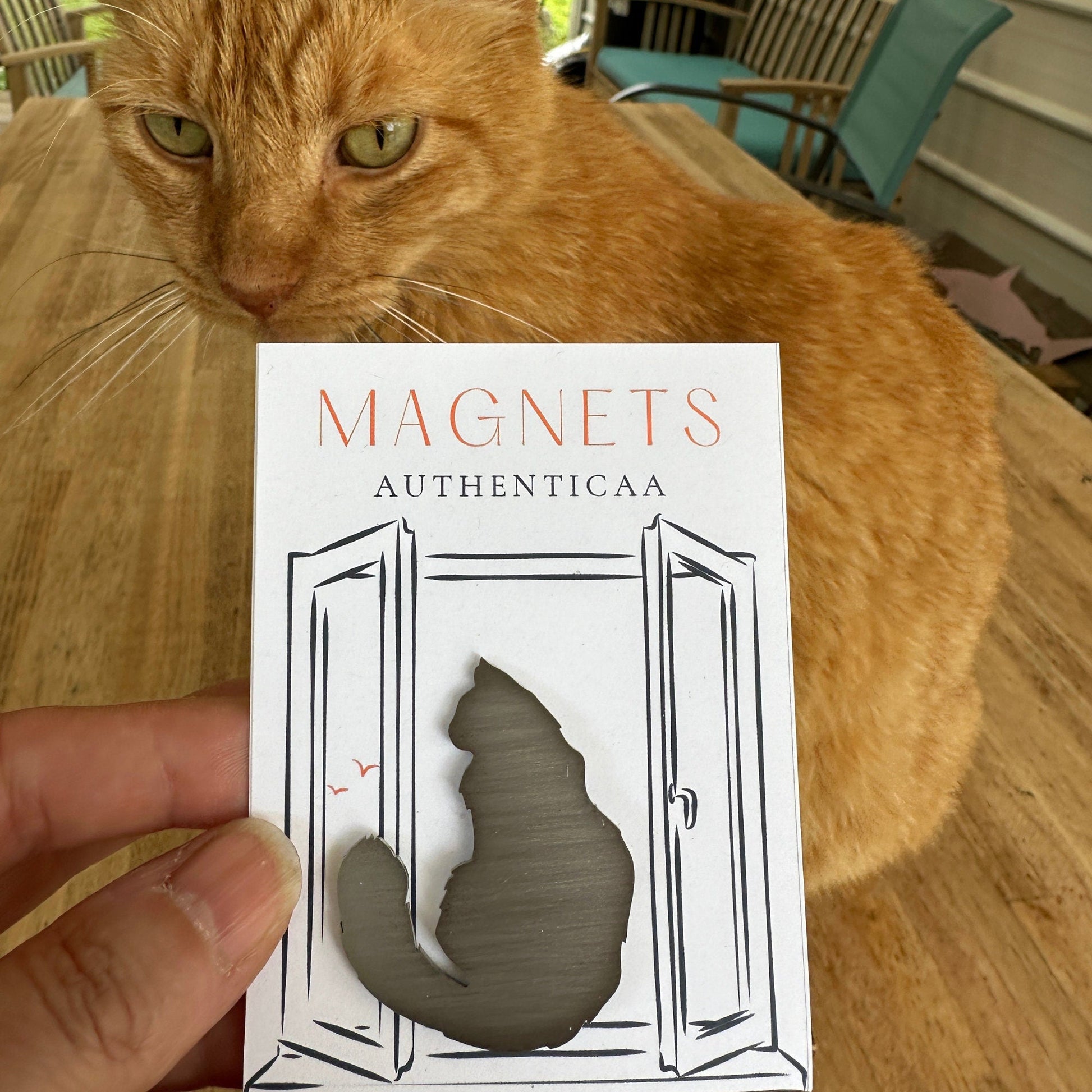 Fluffy Cat Magnet - Stainless steel - Illustrated Card - Made in USA - Authenticaa