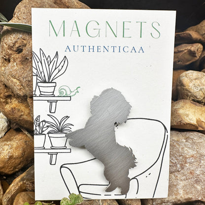 Shitzu magnet made of stainless steel placed on an illustrated card