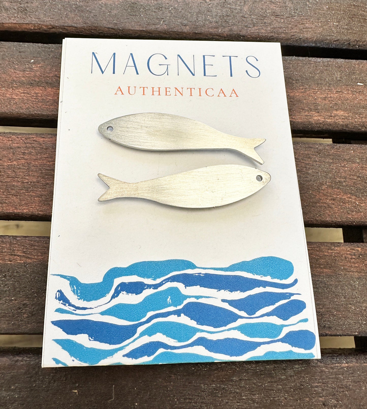 sardine magnets made of stainless steel and placed on an illustrated card