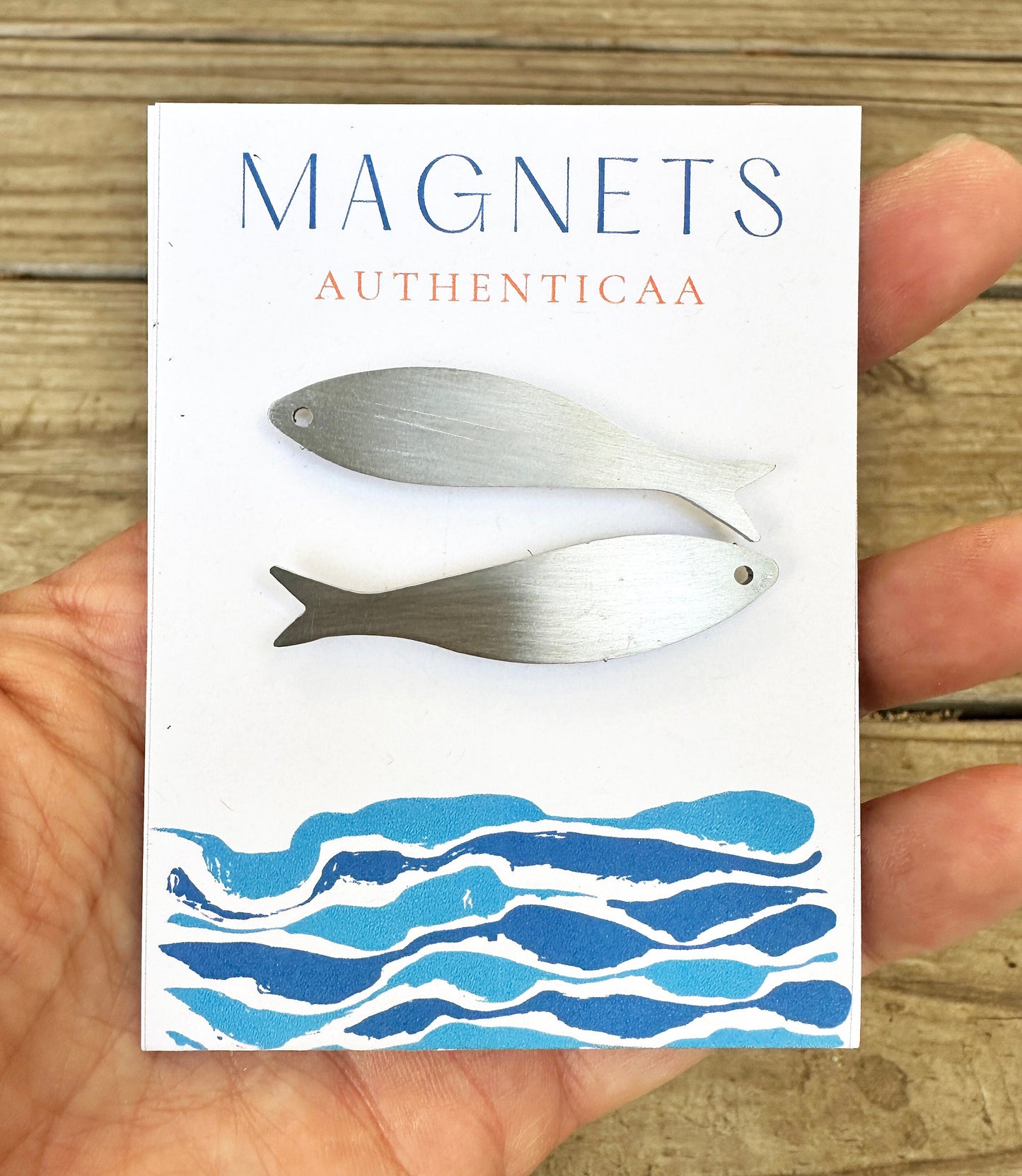 sardine magnets made of stainless steel and placed on an illustrated card held in one hand