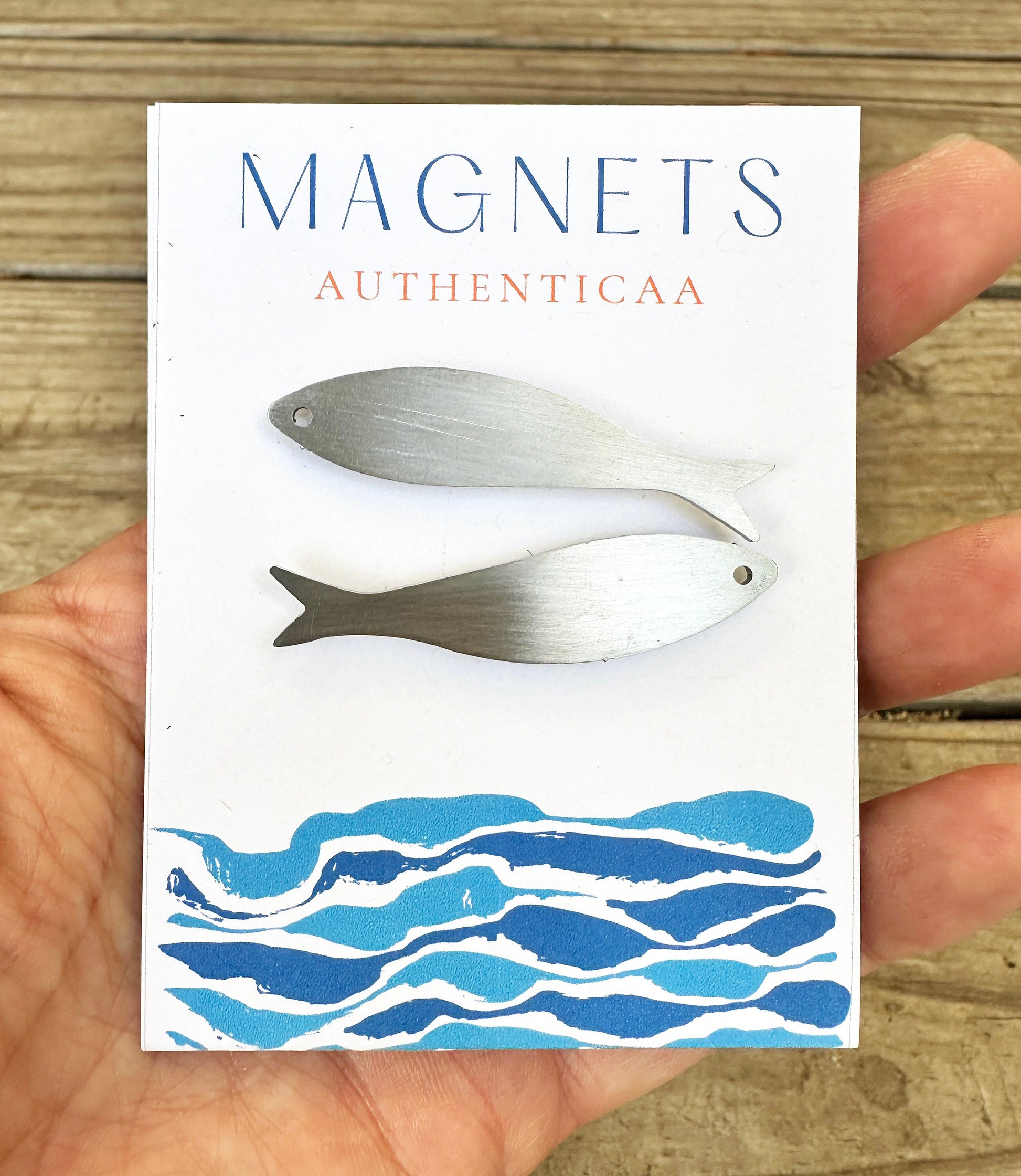 sardine magnets made of stainless steel and placed on an illustrated card held in one hand