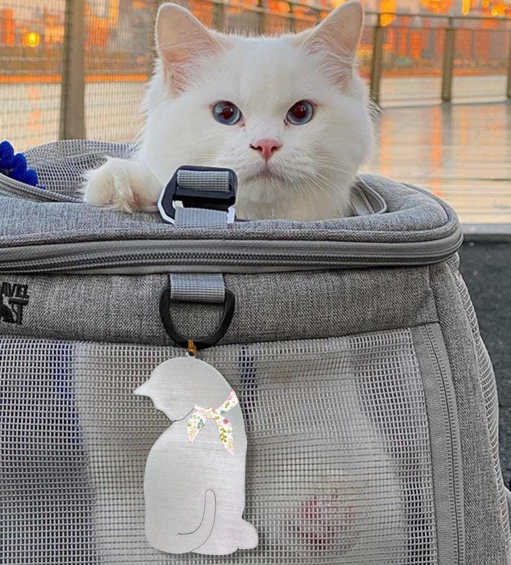 a white cat sitting inside of a suitcase