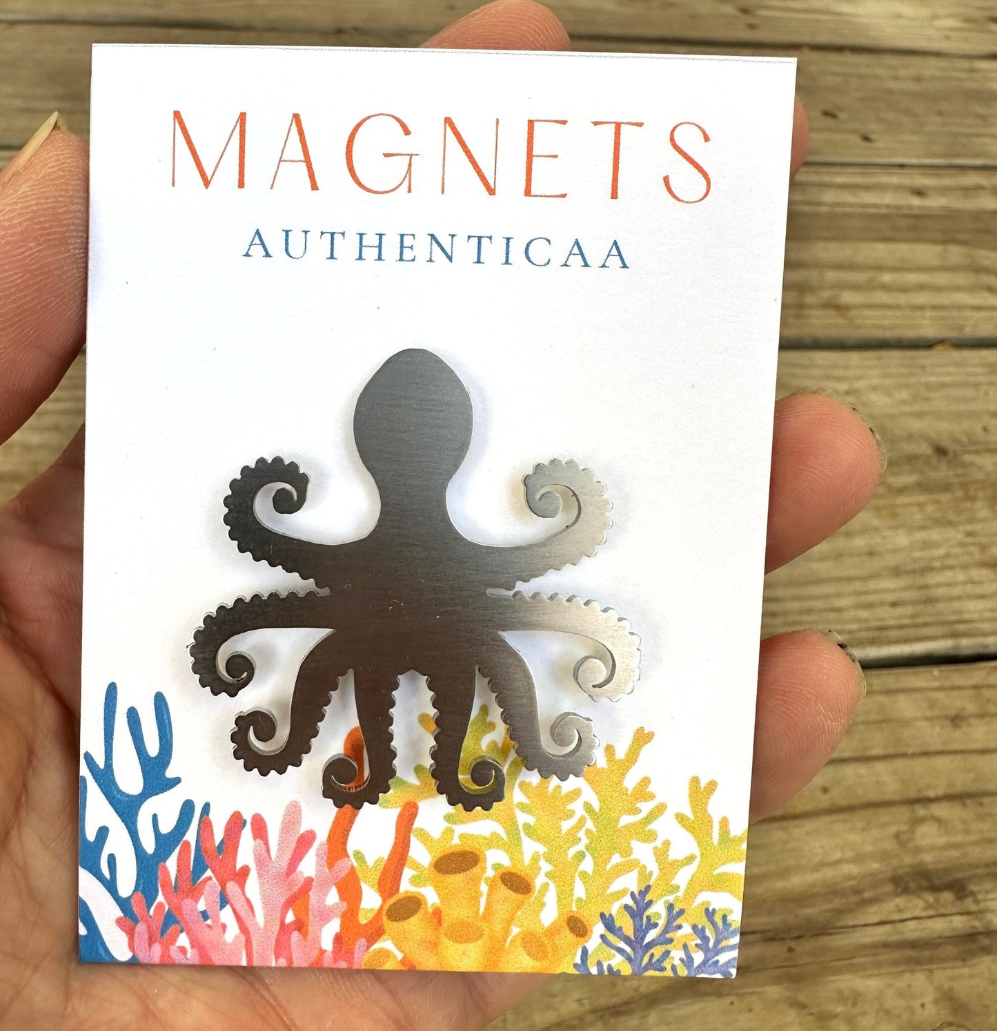 Octopus Magnet - Seaside Decor - Authenticaa