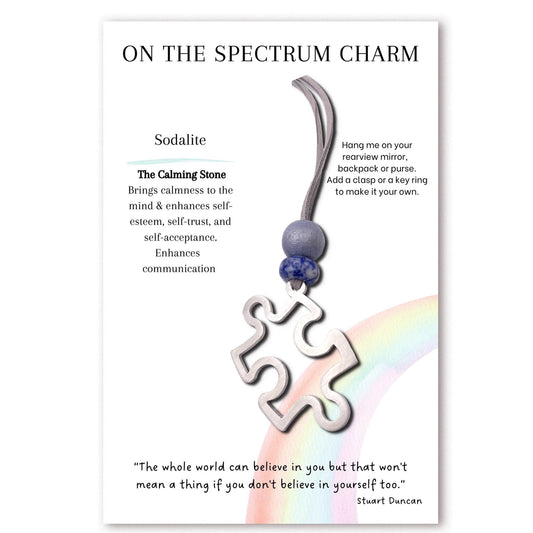 On the Spectrum Stainless Steel Charm with Sodalite Gemstone - Authenticaa