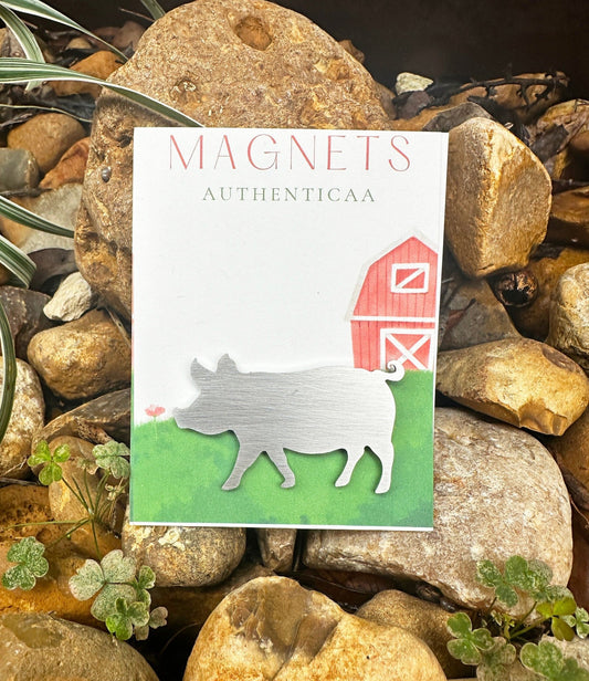 Pig Magnet - Farm Decor - Authenticaa