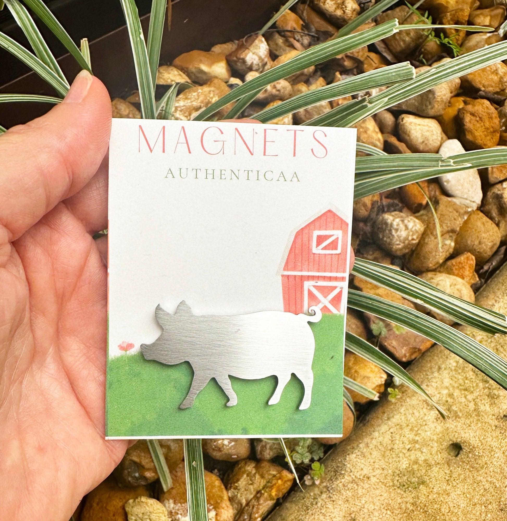 Pig Magnet - Farm Decor - Authenticaa