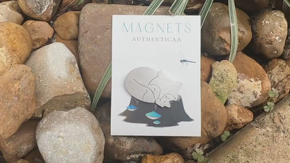 Fox sleeping Magnet - Stainless steel - Illustrated Card - Made in USA