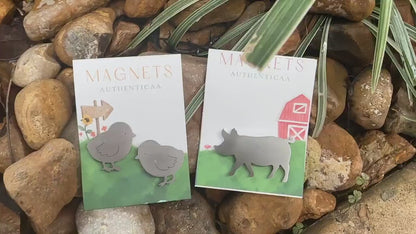 Chicks Magnet - Stainless steel - Illustrated Card - Made in USA