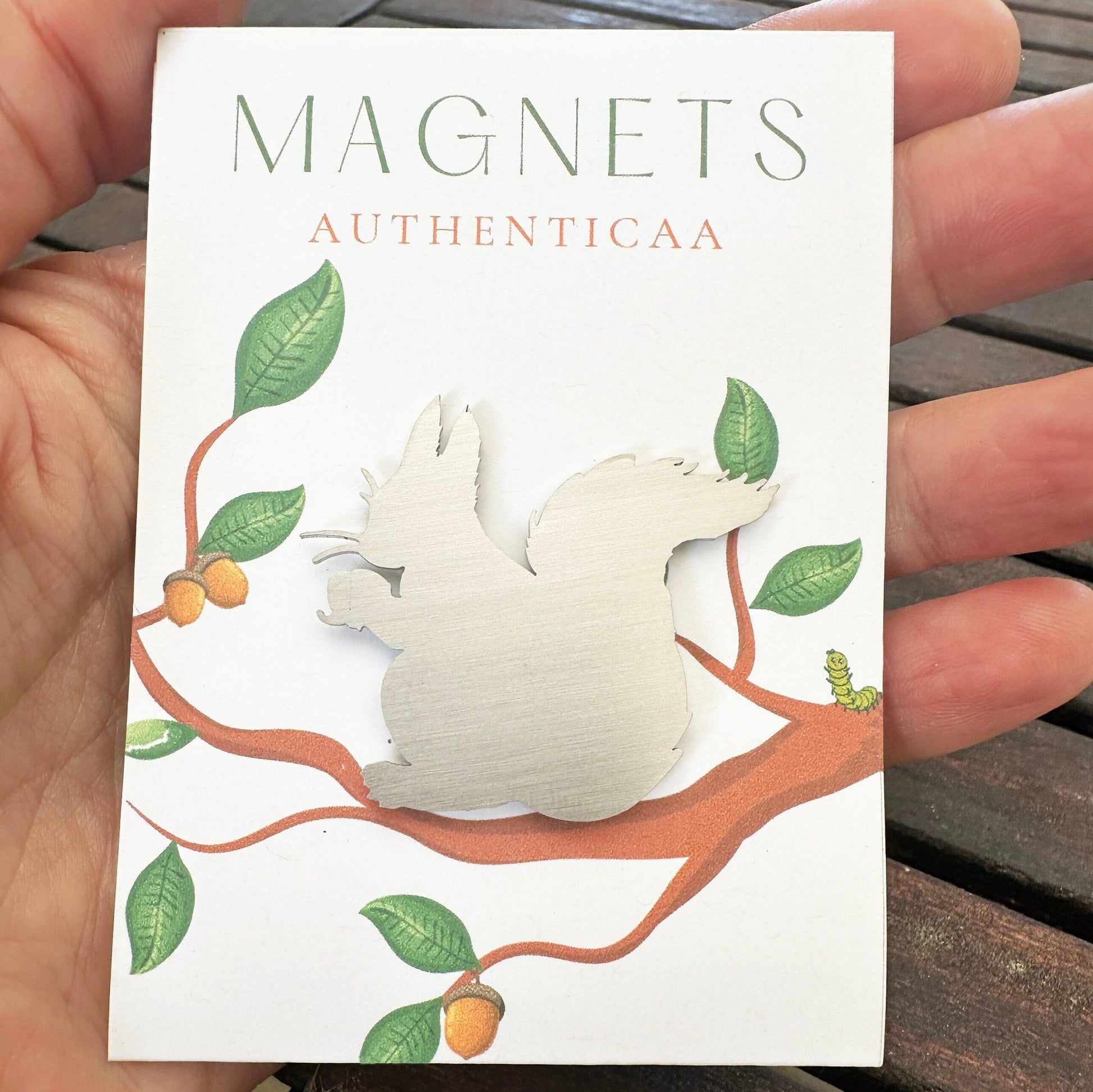 Squirrel Magnet - Woodlands theme - Authenticaa