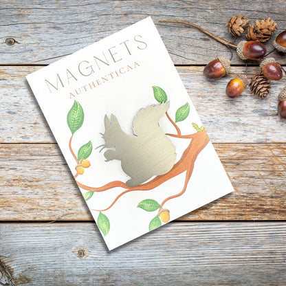 Squirrel Magnet - Woodlands theme - Authenticaa