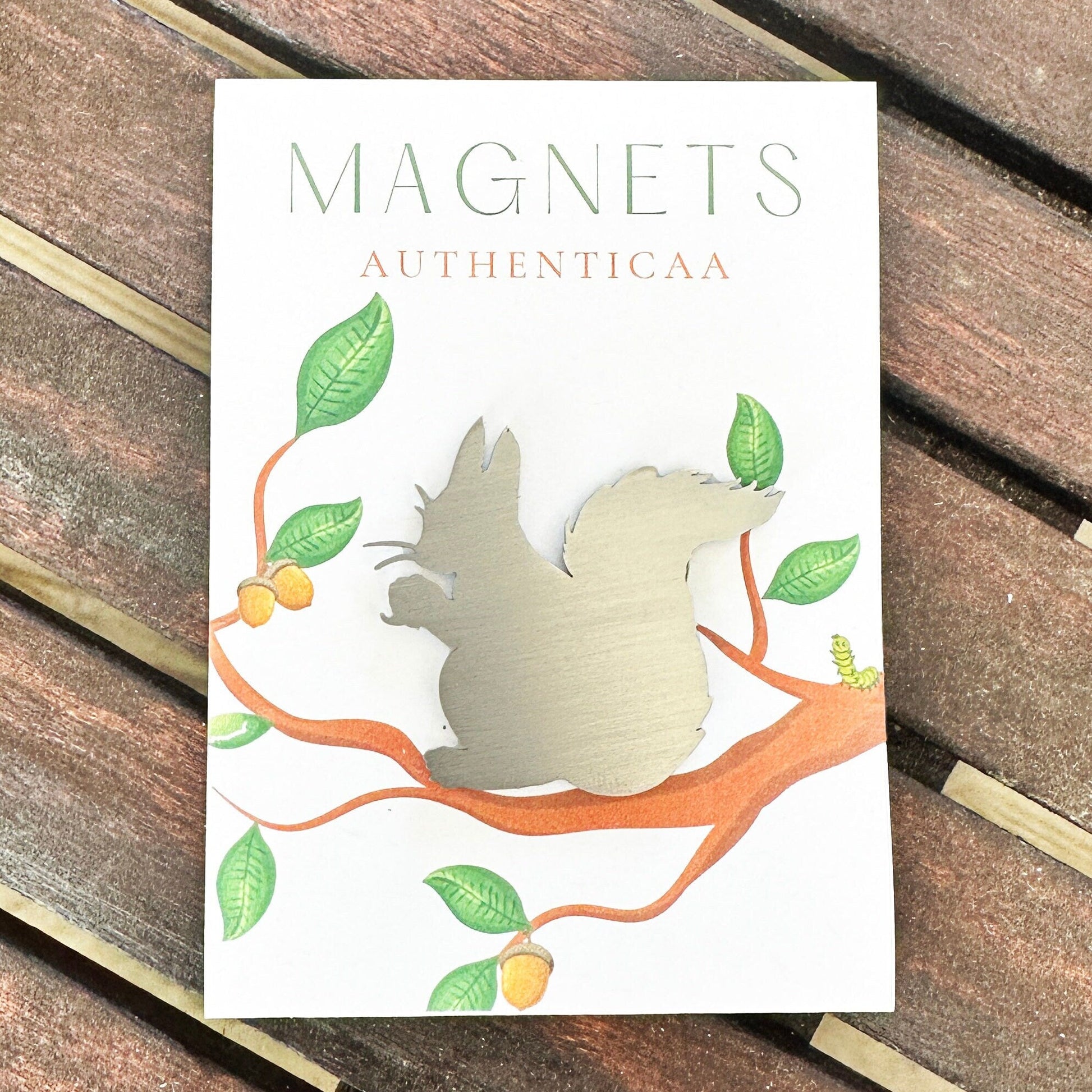 Squirrel Magnet - Woodlands theme - Authenticaa